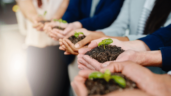 Ideias sustentáveis para aplicar na sua empresa em 2023