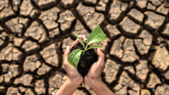 O que é ansiedade climática? O que você pode fazer para combater as causas dela?